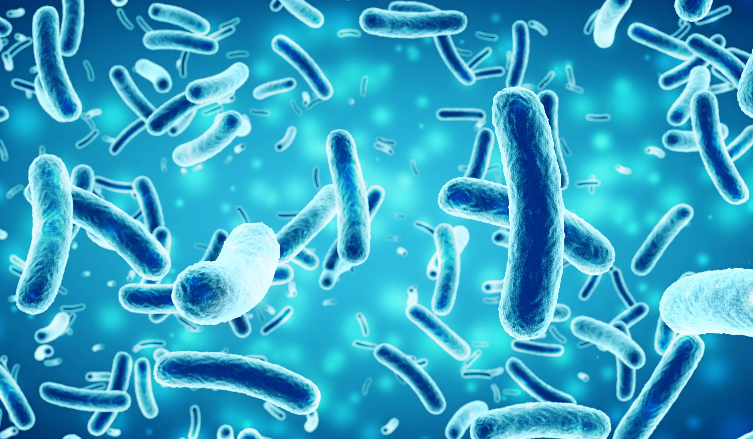 Warum brauchen wir Bakterien zum Leben?
